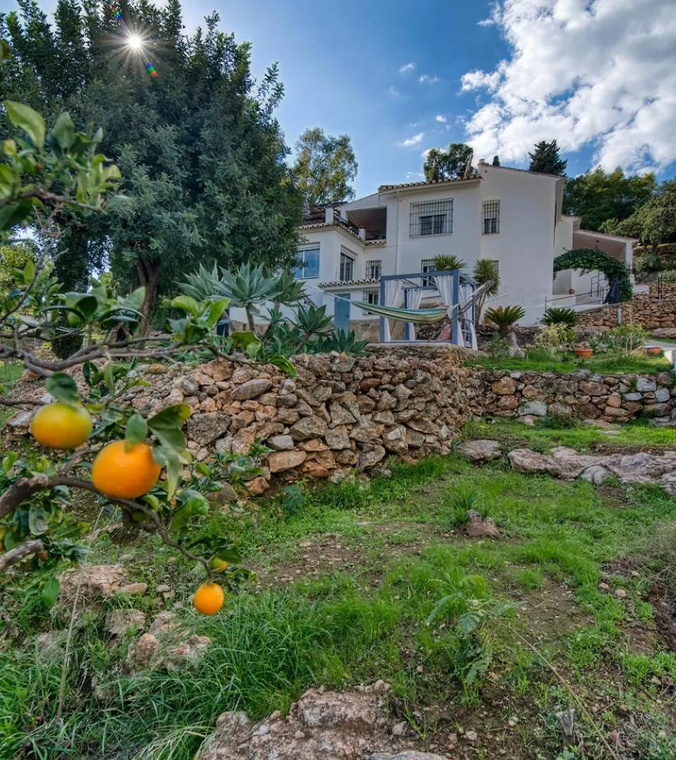 Villa Morera Bed & Breakfast Frigiliana